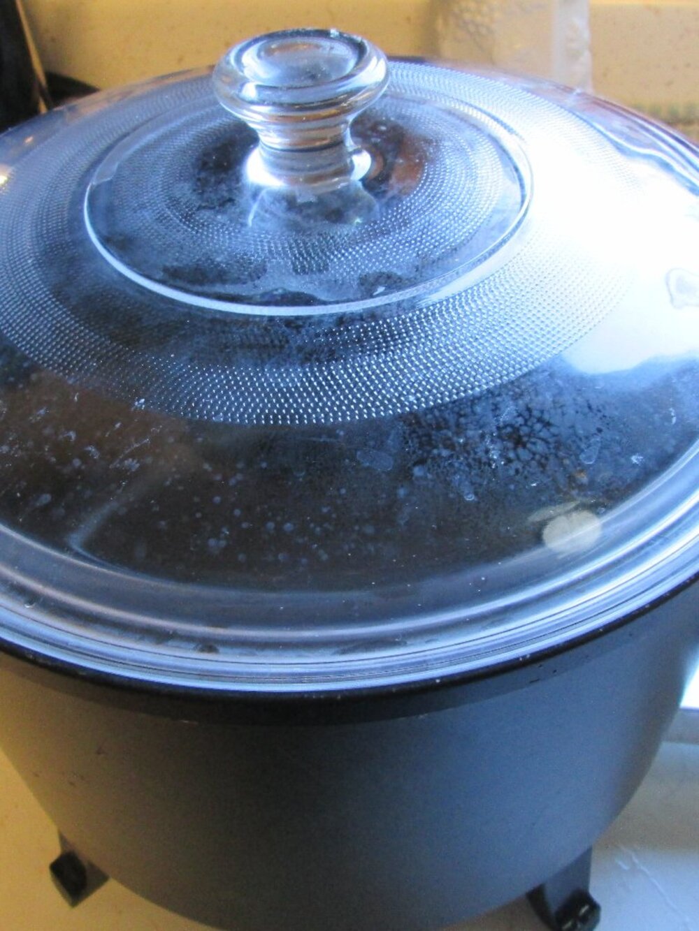 Presto multi cooker deep fryer on legs 6 quart and glass lid